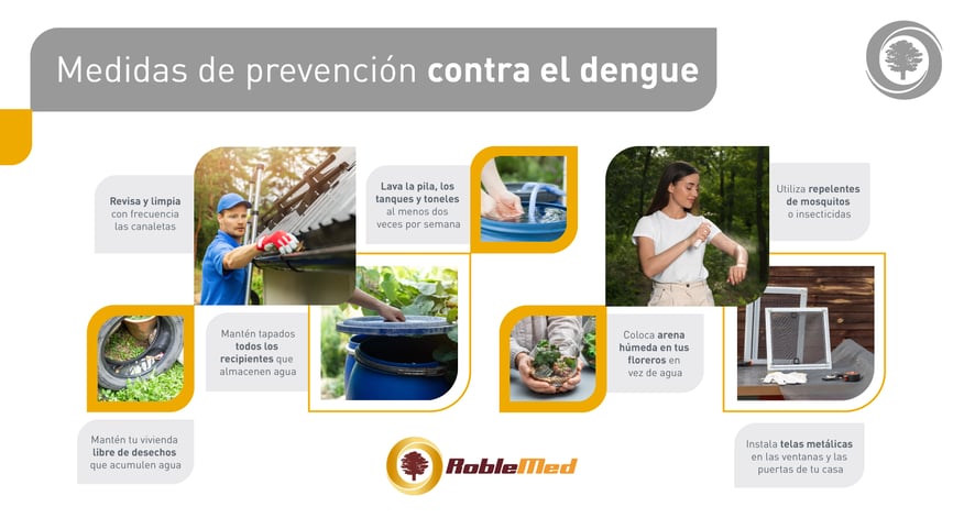 Infografía_que es el dengue